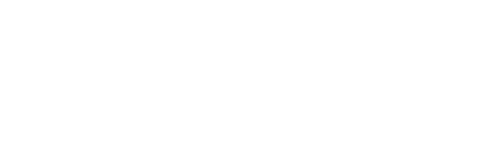 LogoWhiteLarge image